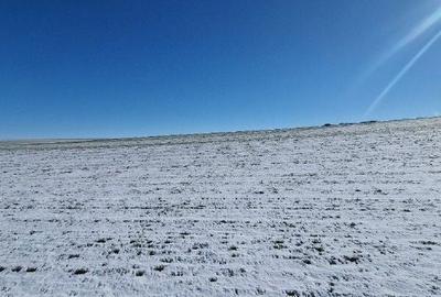 Teren de 14320 mp, în Măgura - 7