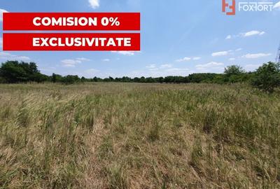 COMISION 0% Teren de vanzare intravilan de 5000 mp in Chisoda - 10