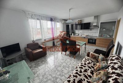 Nou pe piata! Spatiu comercial/Show Room in Deva pe DN7 - 22