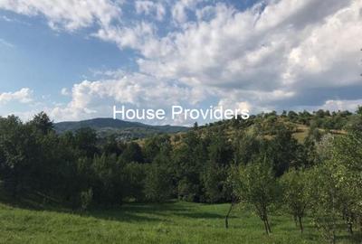 Teren intravilan de 6400 mp, în Drajna - 9