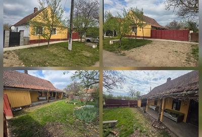 Casă cu Teren 1439 Mp în Ianova - 4