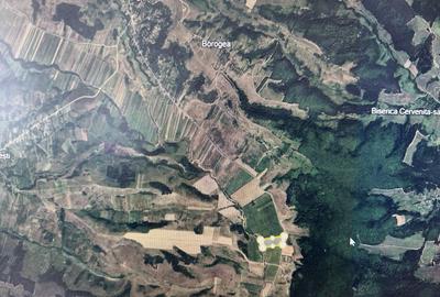 Teren de 480000 mp, în Prunișor - 2
