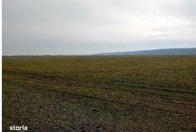 Spațiu comercial, în Ciobani - 5