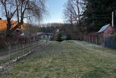 Teren intravilan, Florea- Bascov - idealimob.ro - 3