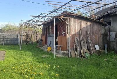 Casă cu Teren 1273 Mp în Dobra - 3