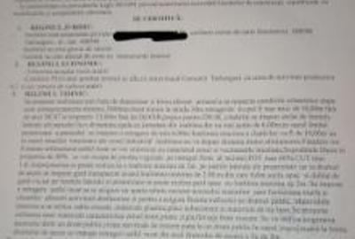 Teren Construcții intravilan de 4400 mp, în Cărpiniș - 3