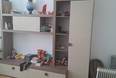 Apartament cu 2 camere decomandat în Pecinișca - 4