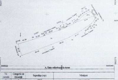 Teren de 7500 mp, în Arbore - 1
