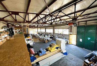 Hale in Slatina,str General Aurel Aldea si 1433 mp teren - 5