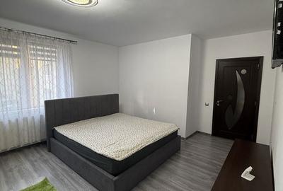 Apartament cu 2 camere decomandat în Turnișor - 7