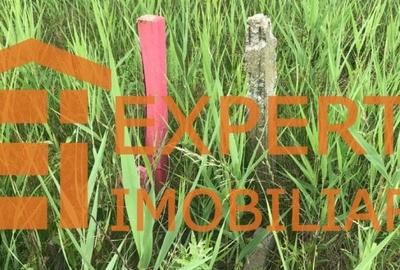 Teren situat in Mamaia Nord - zona Club NAUTIC, aproape de Promenada Teren situat in Mamaia Nord - zona Club NAUTIC, aproape de Promenada - 9