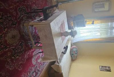 Casă cu 6 camere cu Teren 4000 Mp în Vrani - 5