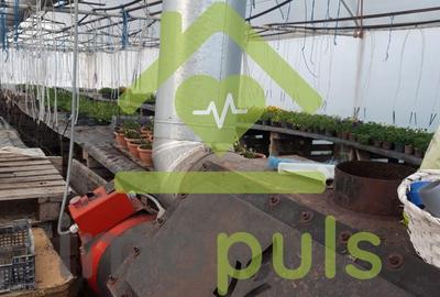 ? Teren intravilan in Jupani (Timis), 10,19 Euro/mp.? - 12