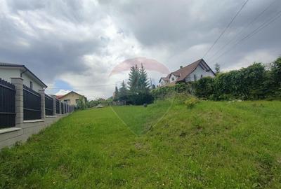 Teren intravilan de vanzare - 2