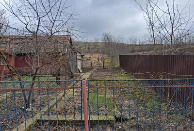 Casă cu Teren 1400 Mp în Tău - 5