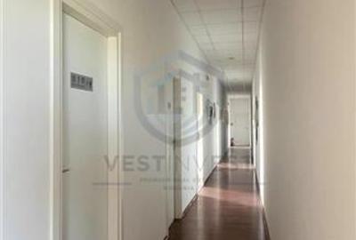 Hala industriala P+E Zona Industriala Bors - 5