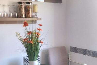 Apartament cu 2 camere decomandat în Salca - 3