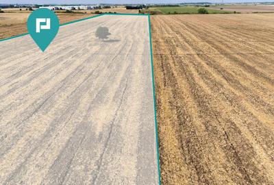 Teren extravilan, zona Freidorf-Șagului, Timișoara Teren extravilan, zona Freidorf-Șagului, Timișoara - 2