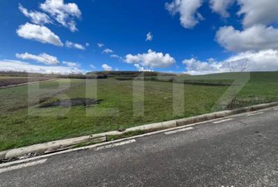 Teren de 2500 mp, în Jelna - 1