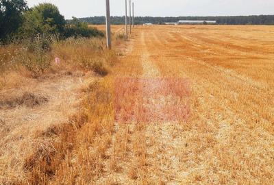 Teren pentru casa/case in Brane?ti pe strada Topora?i - 6