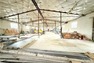 Hala industriala 1200 mp utili de inchiriat in Cisnadie - 3