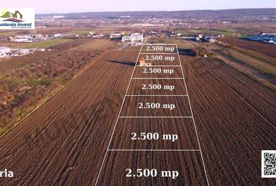 Teren de 2500 mp, în Mărăcineni - 2