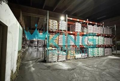 Spațiu industrial, 380 mp în Timișoara - 7