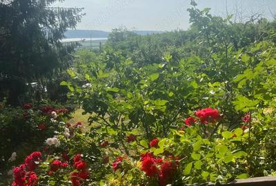 Casă cu 4 camere în Vărzaru - 12