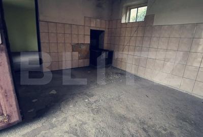 Teren Construcții intravilan de 1000 mp, în Cernele - 8