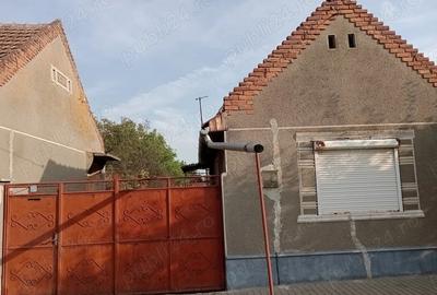 Vand casa Curtici jud Arad 1100 mp - 2
