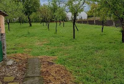 Casă cu 3 camere cu Teren 1700 Mp în Cenei - 2