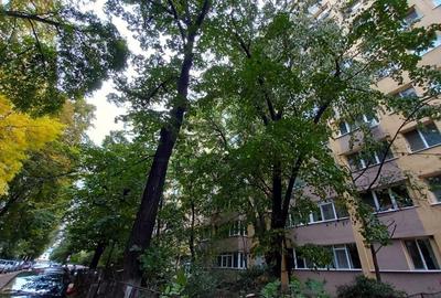 REA1026063 Colentina Tei Apartment 3 camere REA1026063 Colentina Tei Apartment 3 camere - 10