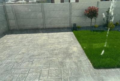 Casă cu 4 camere cu Teren 250 Mp în Pantelimon - 14