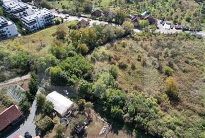 Teren de 6896 mp, în Borhanci