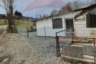 Proprietate specială, de 240 mp, în Rona de Jos - 6