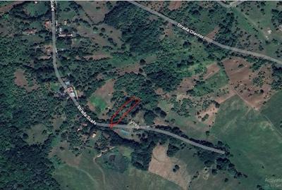 Teren de 1506 mp, în Drajna - 2