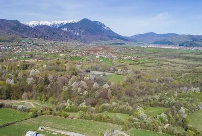 Teren Construcții intravilan de 6800 mp, în Bran - 2