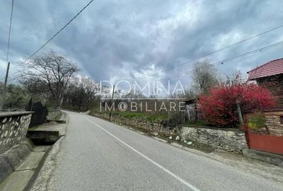 Vanzare teren intravilan - Runcu - oportunitate intr-o zona turistica deosebita - 8