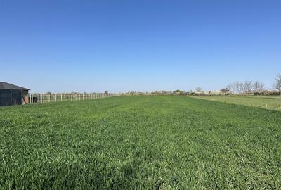 Spațiu comercial, în Gepiu - 1