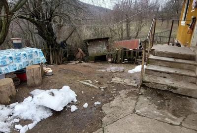 Casă cu Teren 3000 Mp în Nadanova - 1