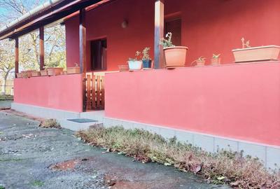 Vand casa 1800mp - 7