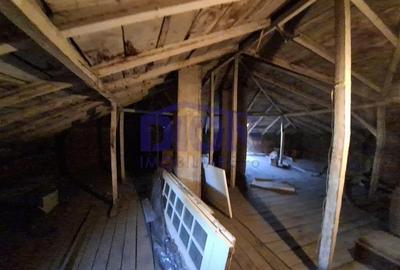 Pache Protopopescu - Agricultori - Sc. Internationala Britanica - 10