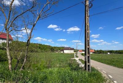 Teren de 1250 mp, în Răscruci - 4