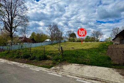 Casă individuală cu 4 camere cu Canalizare în Dumbrăvița - 3