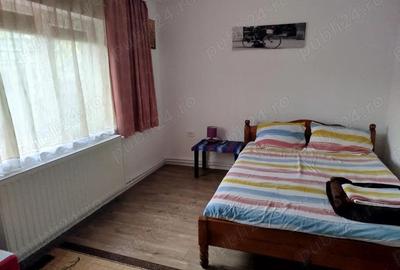 Cazare petreceri ,aniversari , cabana , vila , capacitate 14 persoane - 1