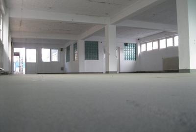 HALE SI SPATIU ADMINISTRATIV DE INCHIRIAT ZONA GARII SIBIU - 3