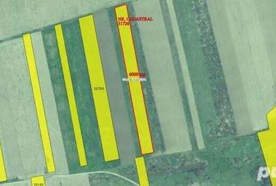 Teren agricol 2.6ha, Tulcea, Valea Nucarilor - 1