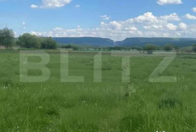 Teren de 2400 mp, în Pădureni (Ciurila) - 2