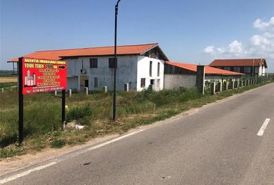 Teren Construcții intravilan de 2000 mp, în Murighiol - 3