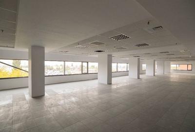 RAMS Business Center, Basarabia, 200 - 1753 mp  0% comision! - 7